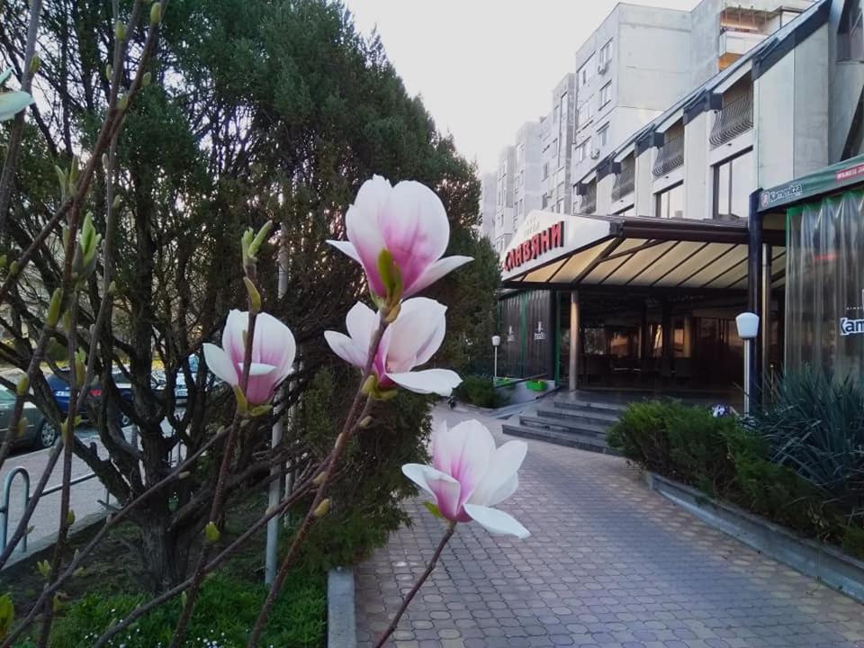 Hotel Slaviani Dimitrovgrad  Kültér fotó